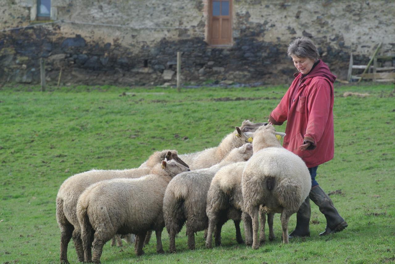 La Gaucherie Aux Dames Vihiers Esterno foto