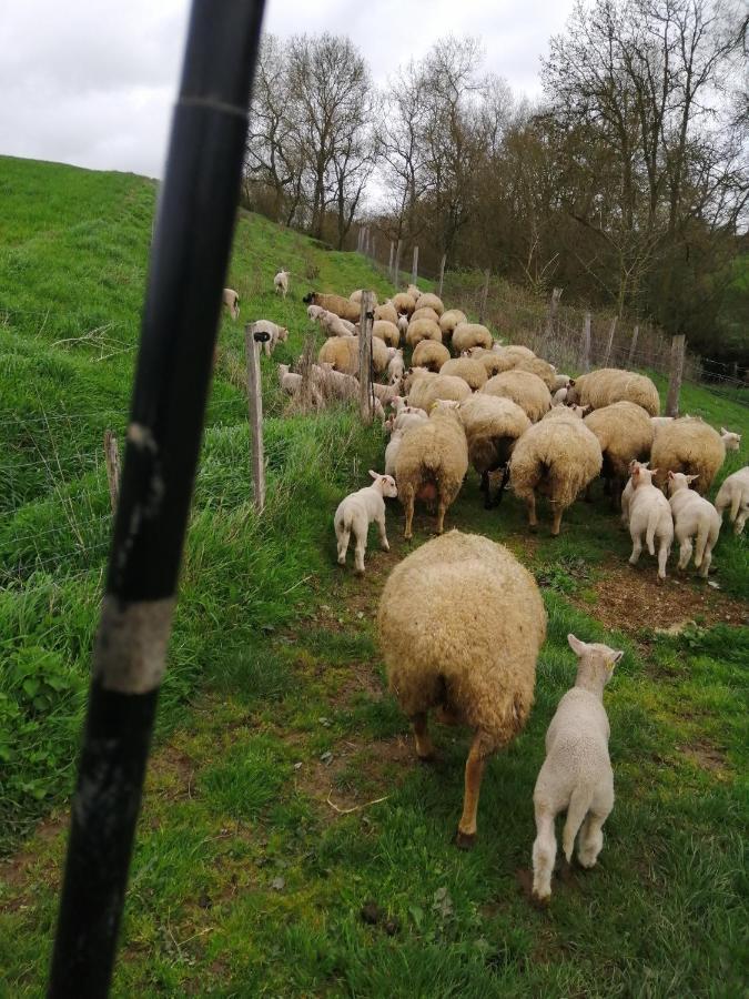 La Gaucherie Aux Dames Vihiers Esterno foto